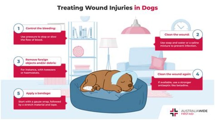 How do you clean a dog's stitches?