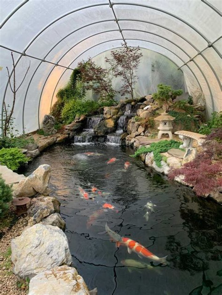 How do you close a pond for fish in the winter?