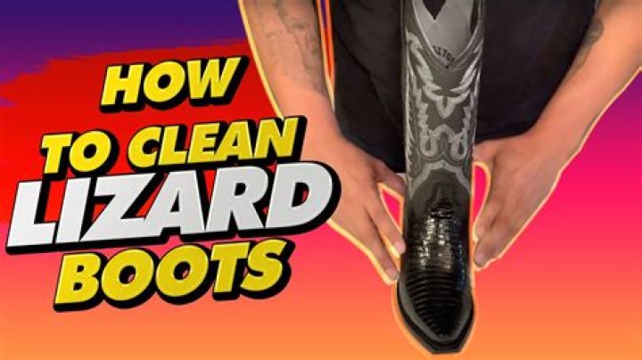 How do you condition lizard skin boots?