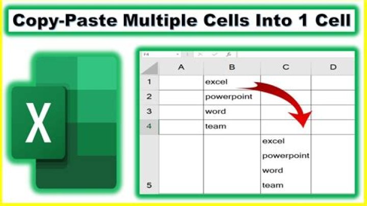How do you copy and paste into separate cells?