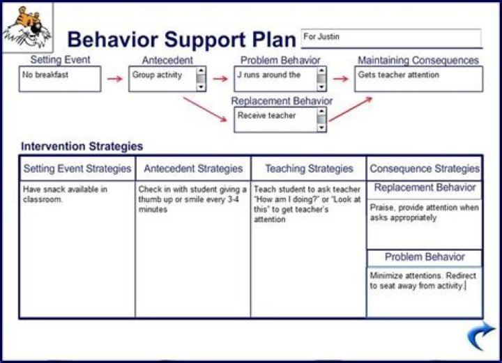 How do you create a positive behavior support plan?