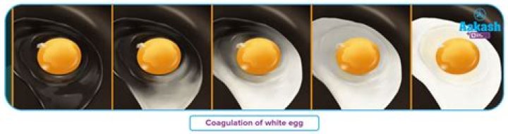 How do you denature egg whites?
