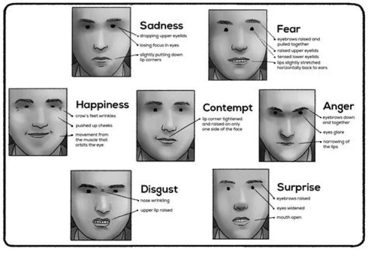 How do you describe sad facial expressions?