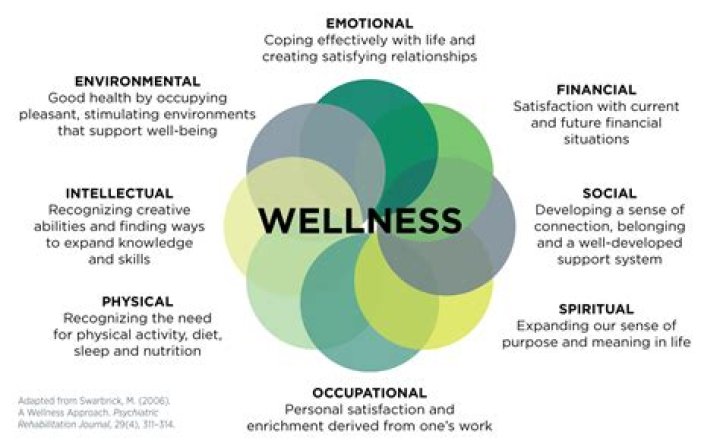How do you describe wellness?