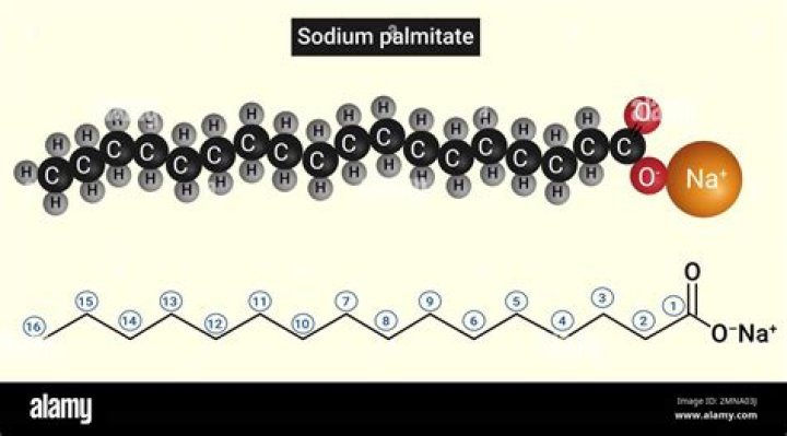 How do you dissolve palmitate?