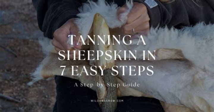 How do you dry sheep skin?