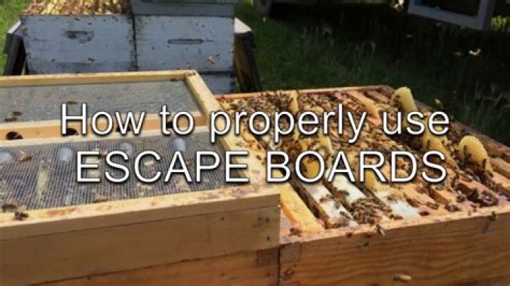 How do you escape work?
