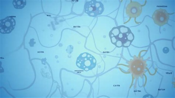 How do you extract fish eggs?
