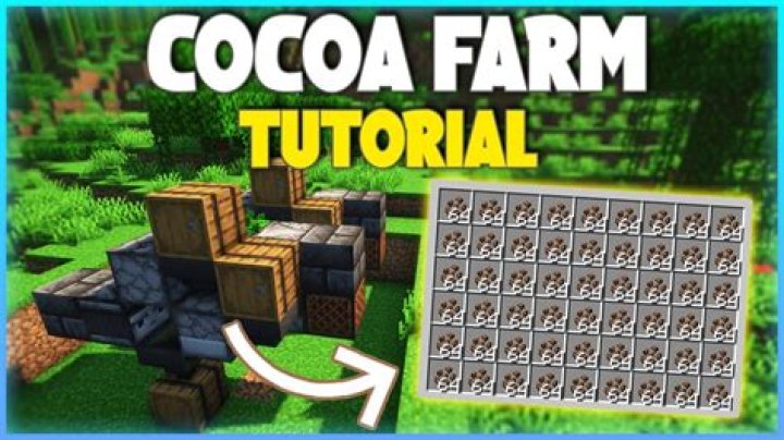How do you farm cocoa beans in Minecraft?