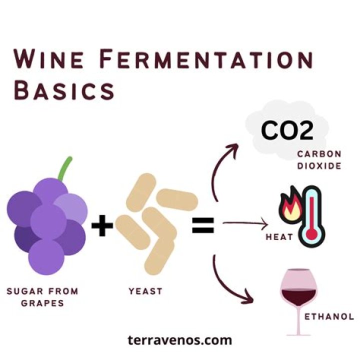 How do you ferment without yeast?