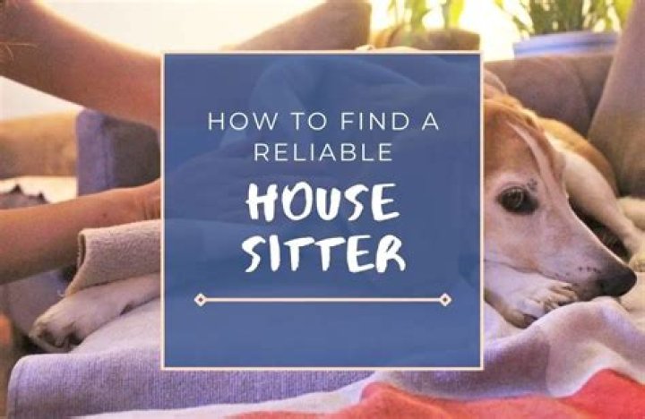 How do you find a house sitter?