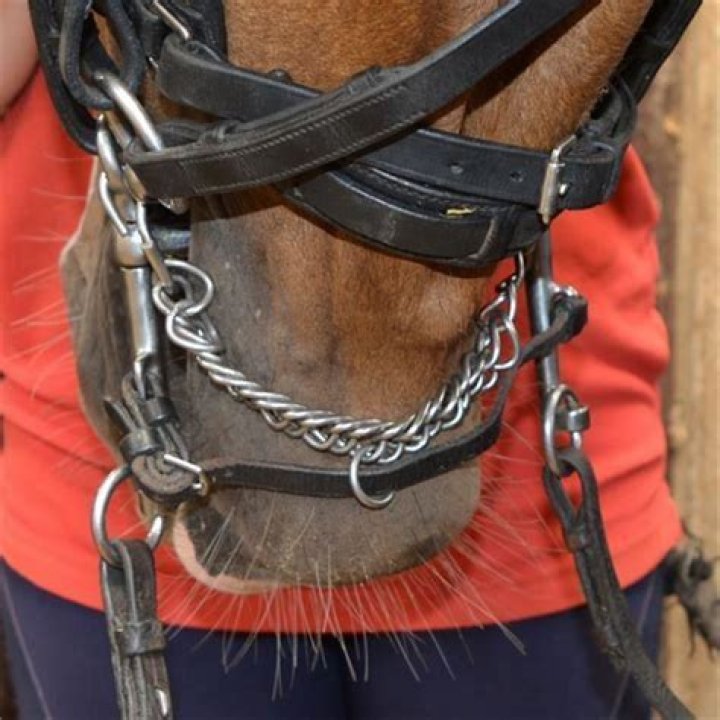 How do you fit a bridle?
