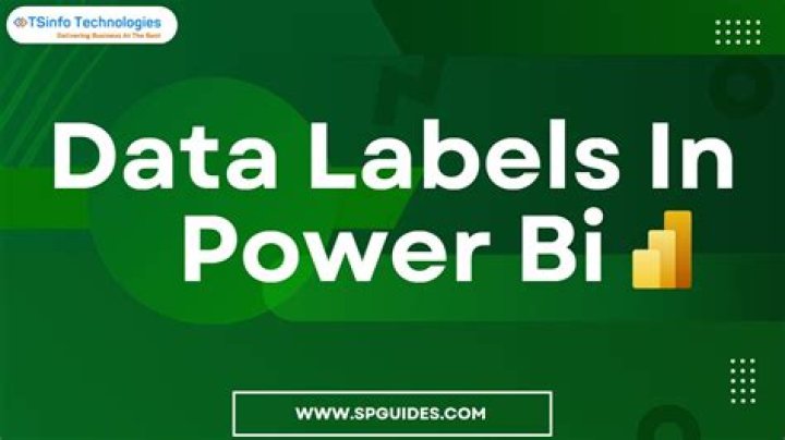 How do you format data labels in power bi?