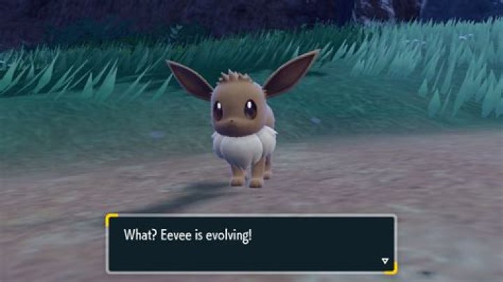 How do you get Eevee in X and Y?