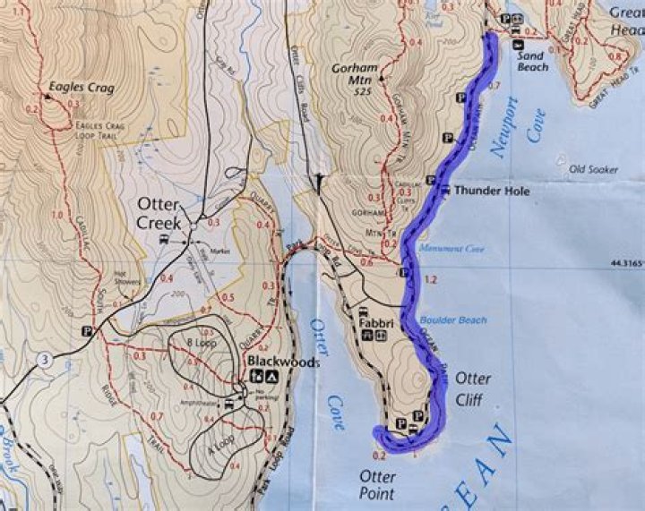 How do you get from Acadia National Park to cruise ship?