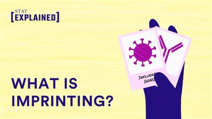 How do you get imprints?