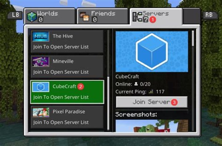 How do you get on a server on Minecraft Xbox one?