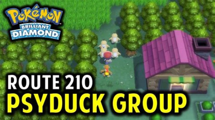 How do you get past the psyduck on Route 210?