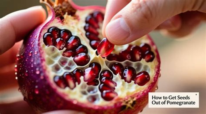 How do you get pomegranate seeds out of water?