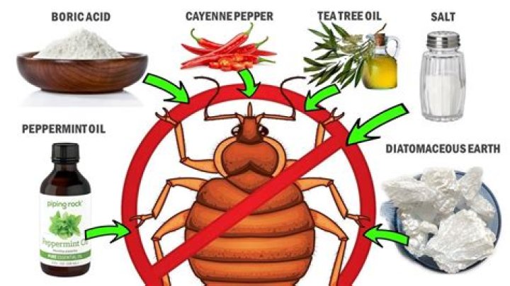How do you get rid of sucking bugs?