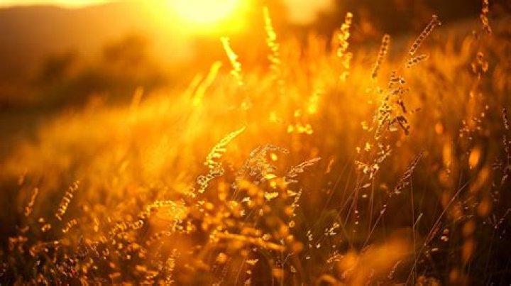 How do you get the golden hour lighting?