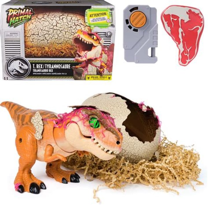 How do you hatch a toy dinosaur egg?