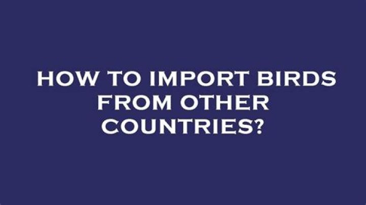 How do you import birds from other countries?