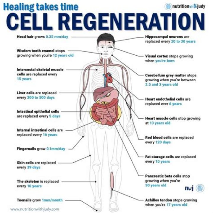 How do you increase skin cell regeneration?