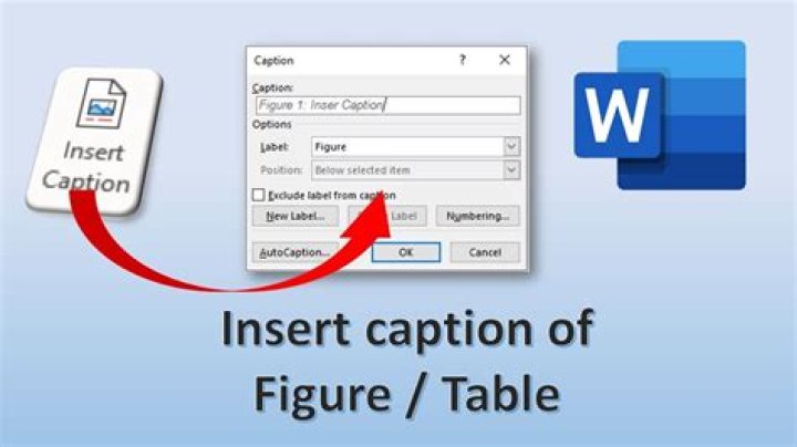 How do you insert a caption for an image or a table?