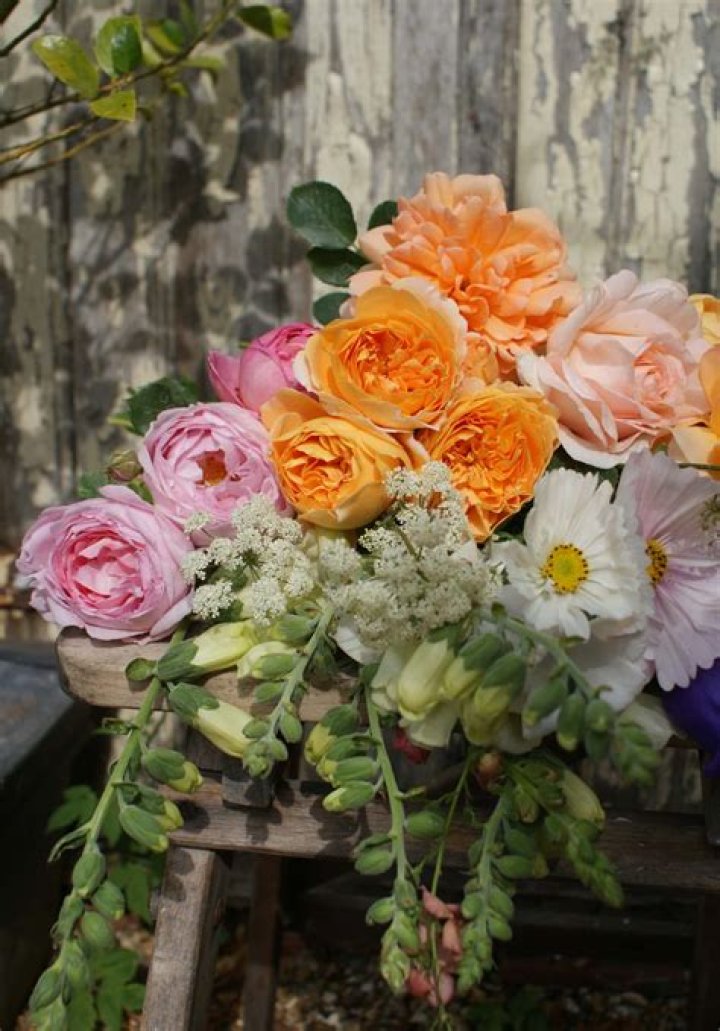 How do you keep roses alive outside?