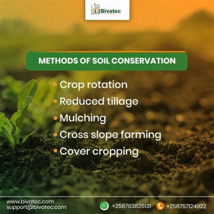 How do you keep the soil warm inside?