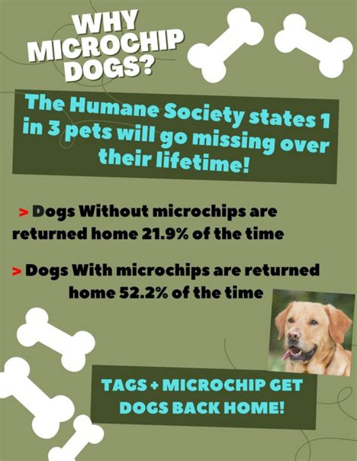 How do you know if a dog has been microchipped?