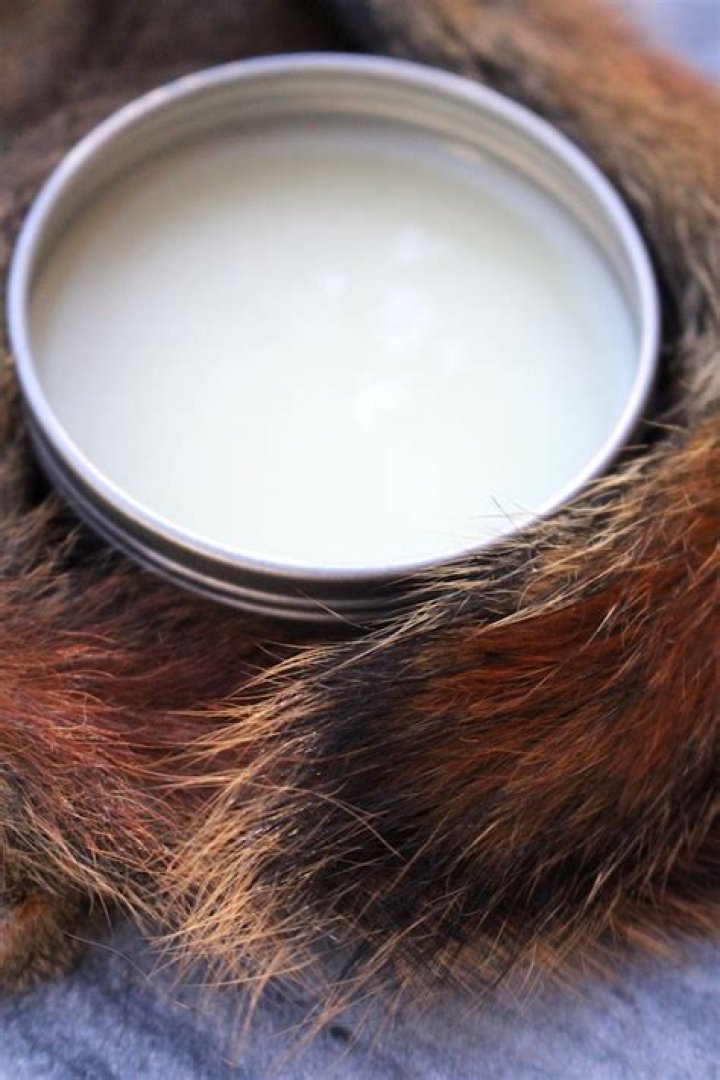 How do you make a fat salve bear?