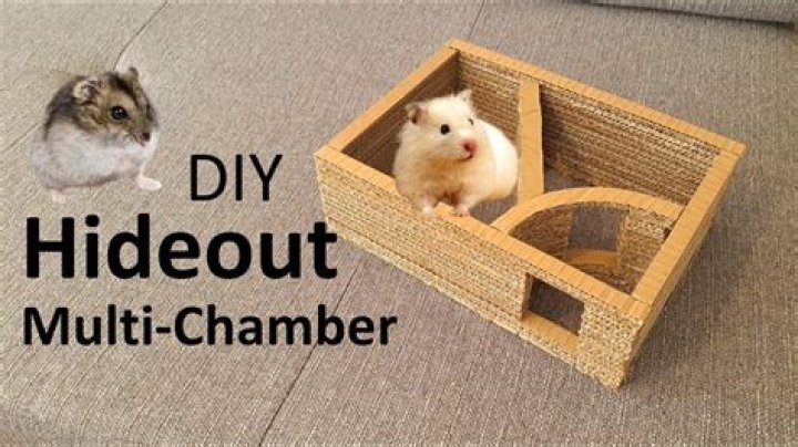 How do you make a hamster out of a cardboard cage?