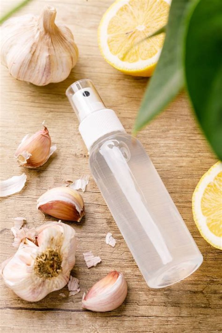 How do you make garlic repellent spray?