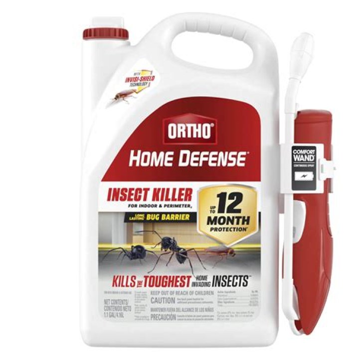 How do you make insect killer?