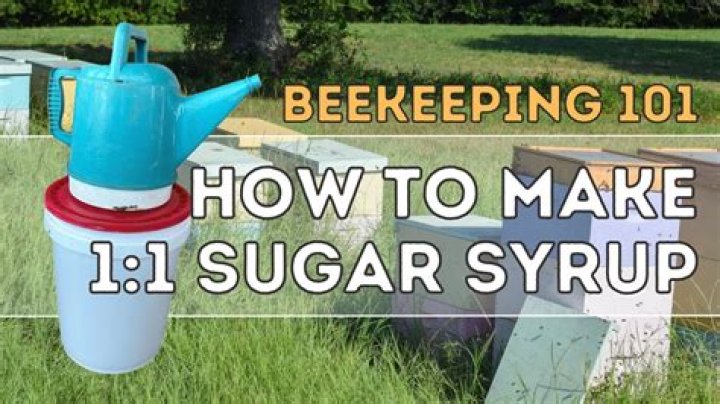 How do you make sugar syrup for TUIS?