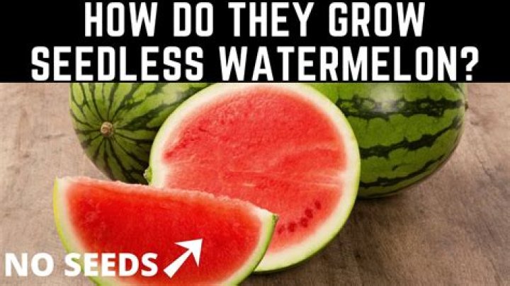 How do you make watermelon seedless?