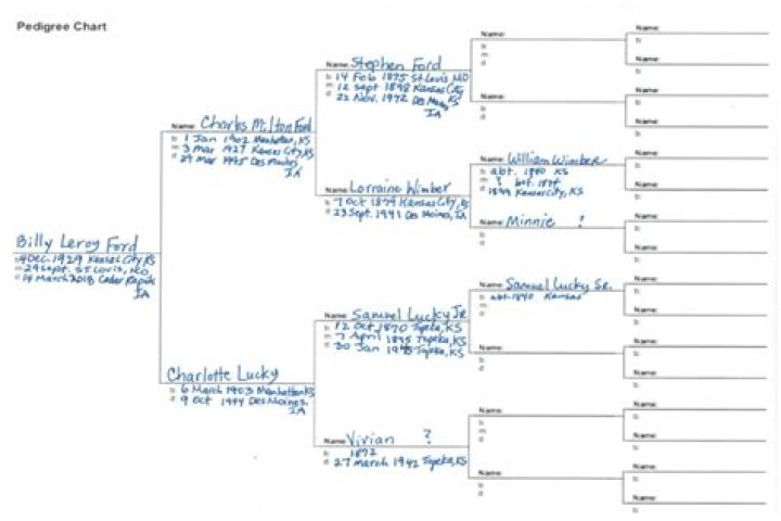 How do you number a pedigree chart?