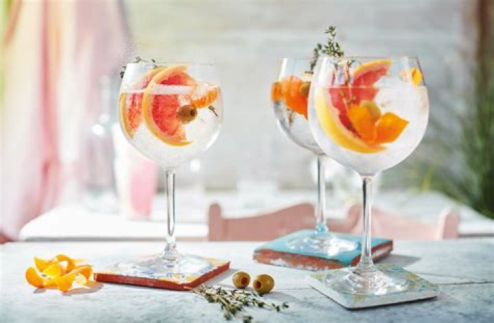How do you order a gin and tonic in Spanish?