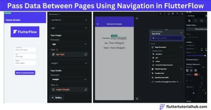 How do you pass data between pages in flutter?