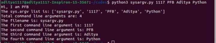 How do you pass filename command line arguments in python?