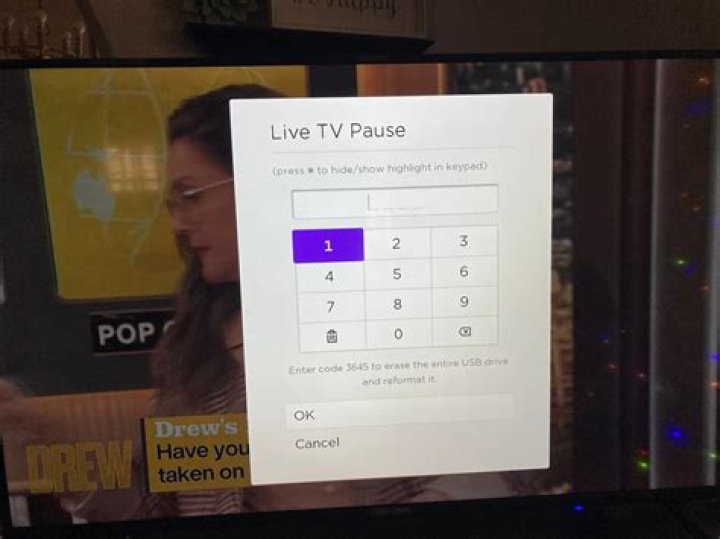 How do you pause voice over?