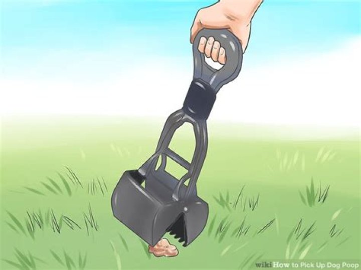 How do you pick up dog poop without plastic?