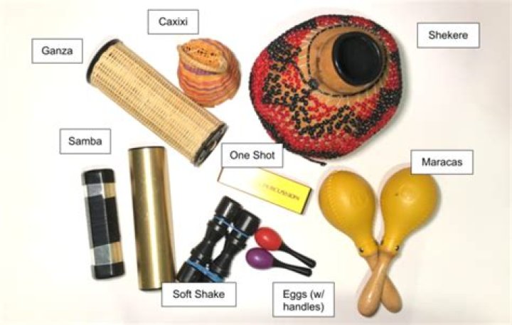 How do you play shaker instruments?