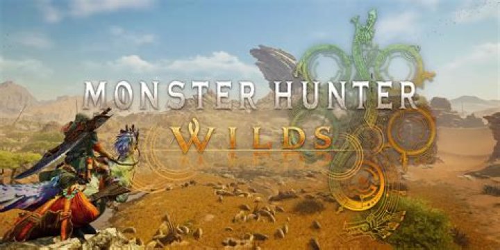 How do you play single player in Monster Hunter world?