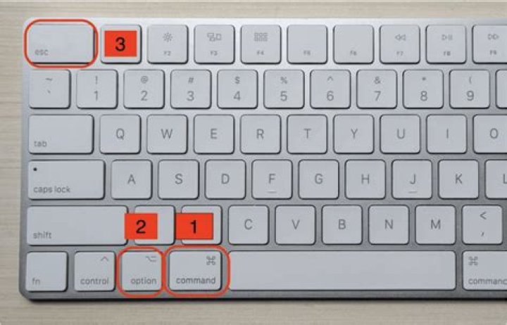 How do you press Esc on a Mac?