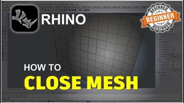 How do you reduce mesh in Rhino?