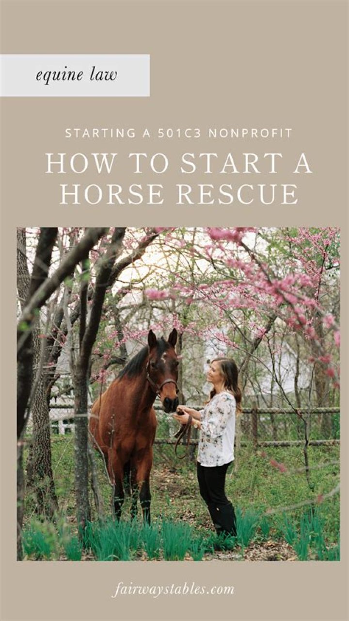 How do you rescue a horse?