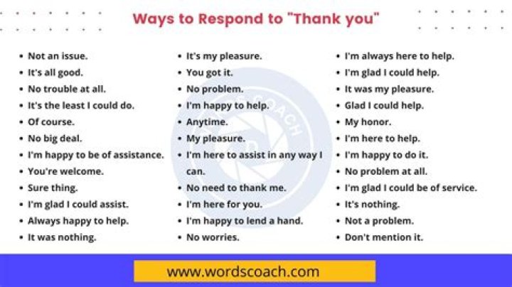How do you respond to no thank you?
